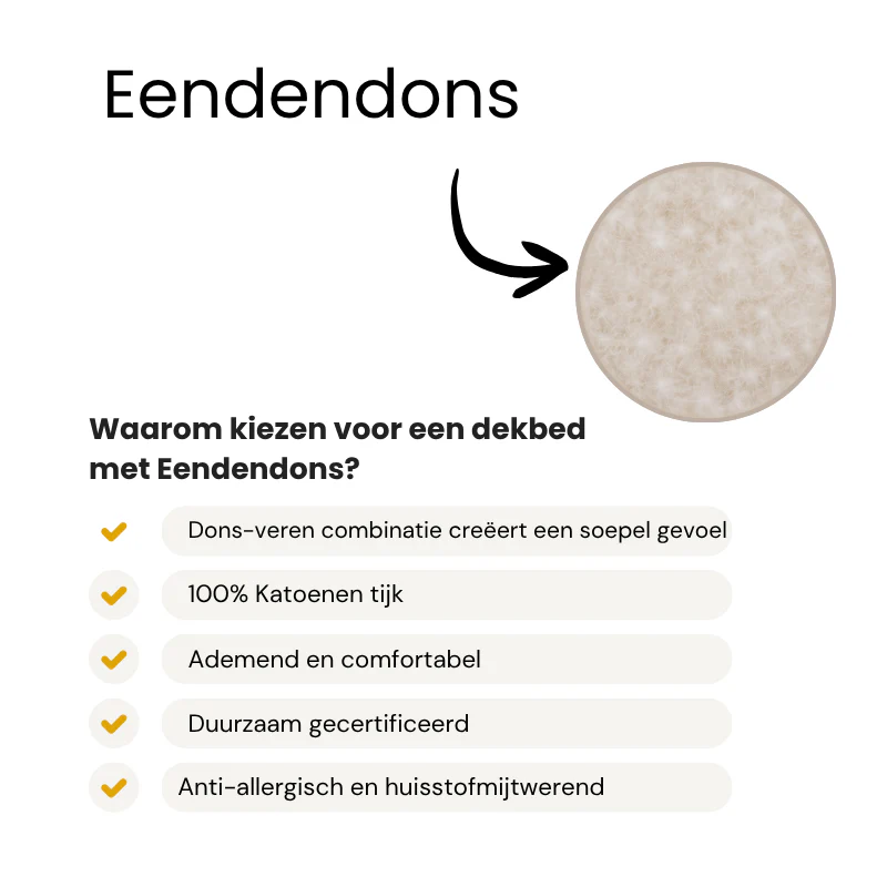 Productafbeelding 3
