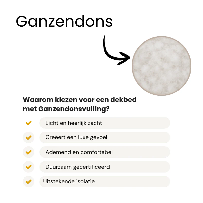 Productafbeelding 3