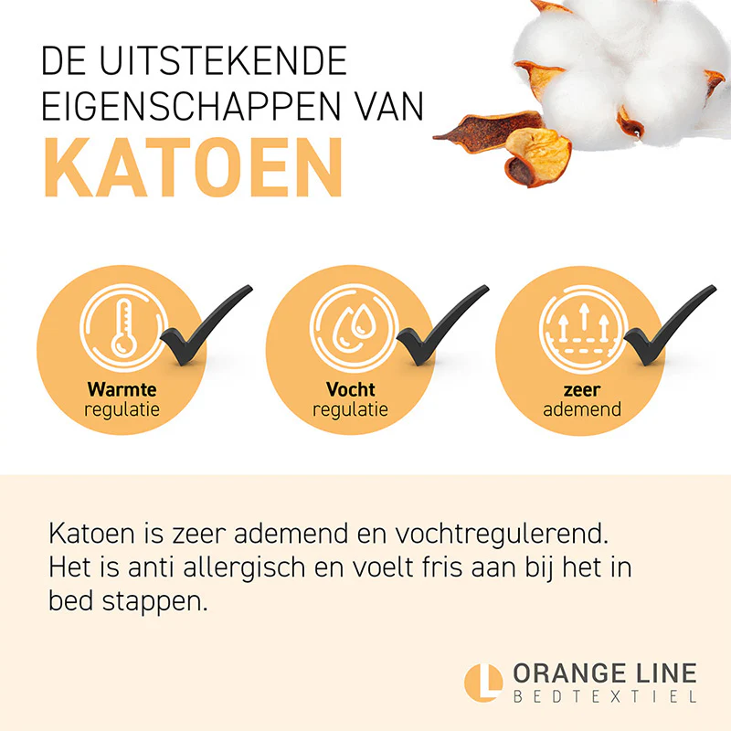 Productafbeelding 9